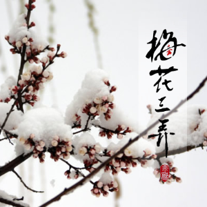 梅花三弄—原调精编完整版-钢琴谱