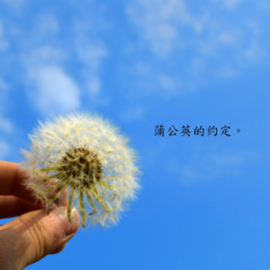 蒲公英的约定钢琴简谱 数字双手 方文山