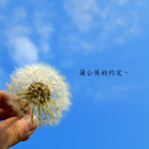蒲公英的约定钢琴简谱 数字双手 方文山