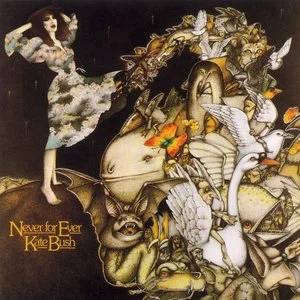 Babooshka - Kate Bush (凯特·布希)-钢琴谱