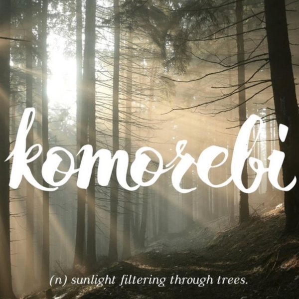 Komorebi-钢琴谱
