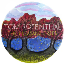 Go Solo - Tom Rosenthal钢琴谱