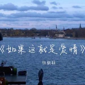 如果这就是爱情钢琴简谱 数字双手
