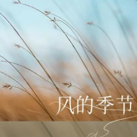 风的季节 C调简易版 徐小凤 流行经典-钢琴谱