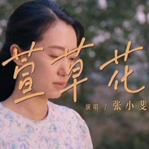 萱草花钢琴简谱 数字双手
