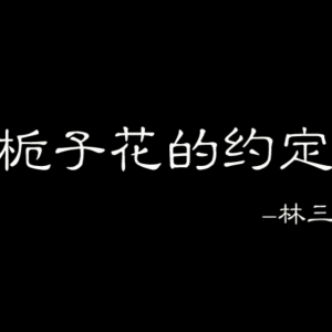 栀子花的约定 原调