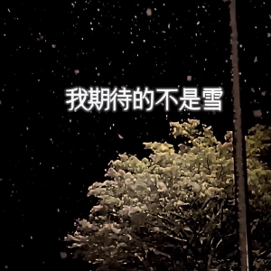 我期待的不是雪钢琴简谱 数字双手