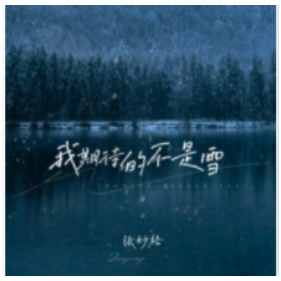 我期待的不是雪钢琴简谱 数字双手 王琛