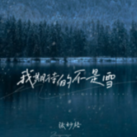 我期待的不是雪钢琴简谱 数字双手 王琛