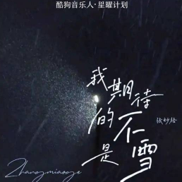 我期待的不是雪 C调 好听易上手-钢琴谱