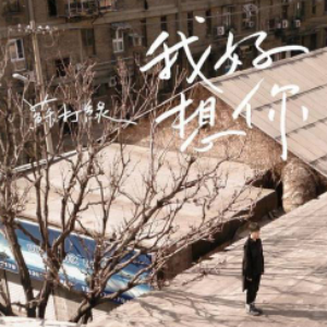 我好想你《小时代》主题曲-钢琴谱