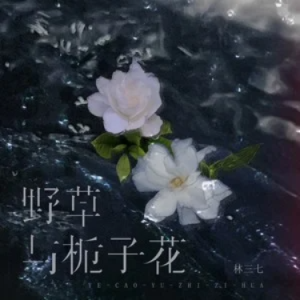 野草与栀子花//林三七 - 原调 简单易上手-钢琴谱