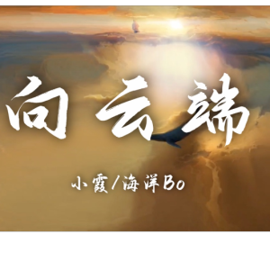 向云端