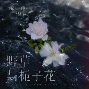 《野草与栀子花》G调简易版-钢琴谱