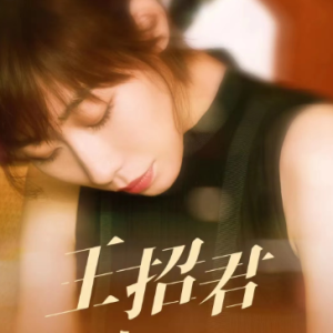 王招君《C调好听简单版》-钢琴谱