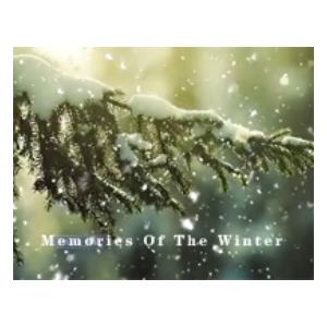 Memories Of The Winter钢琴简谱 数字双手
