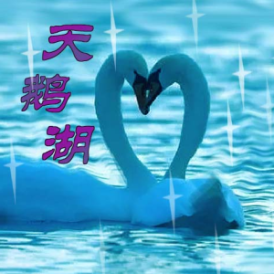 天鹅湖钢琴简谱 数字双手