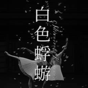 Aimer-白色蜉蝣 高度还原-钢琴谱