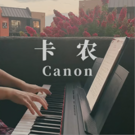 卡农   D调简单版本 容易上手容易弹-钢琴谱