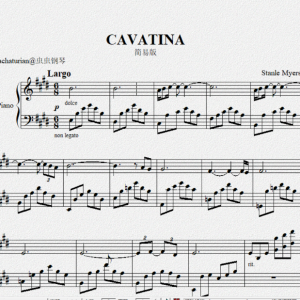 第51届奥斯卡最佳影片《獵鹿人》配樂CAVATINA-钢琴谱