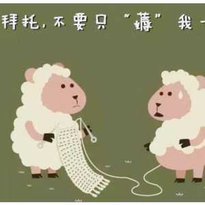 《剪羊毛》C调初学版+小汤3难度-钢琴谱
