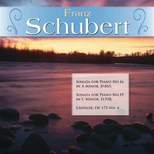 舒伯特 c小调第19号钢琴奏鸣曲, D.958 原版 Piano Sonata in C minor Schubert-钢琴谱