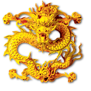 龙