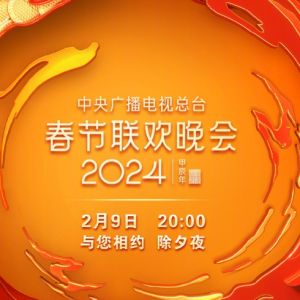 不如见一面【独奏改编版】-单依纯/海来阿木-2024春晚