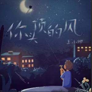 你头顶的风-王小帅（C调）-钢琴谱