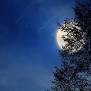 夜晚钢琴简谱 数字双手 黄文超