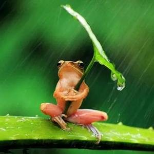 Sometimes When It Rains （四手联弹）-下雨的时候-钢琴谱