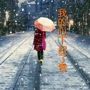 我的心下起了雪钢琴简谱 数字双手