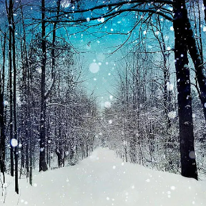 Softly Falling Snow （四手联弹）-钢琴谱