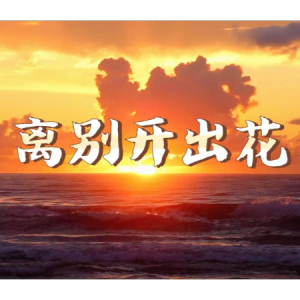 《离别开出花》唯美钢琴极致还原版-钢琴谱