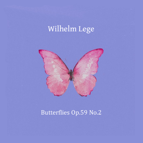 Butterflies钢琴简谱 数字双手