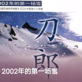 2002年的第一场雪  原调简易版  刀郎   联系经典-钢琴谱