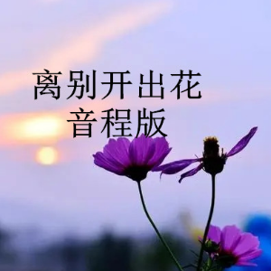 离别开出花钢琴简谱 数字双手
