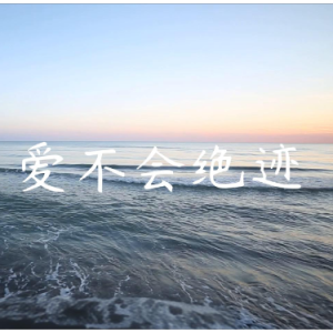爱不会绝迹  C调简易版 林俊杰  流行经典-钢琴谱
