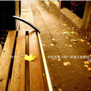 寂寞的季节钢琴简谱 数字双手