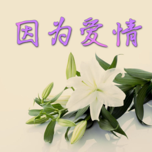 因为爱情钢琴简谱 数字双手