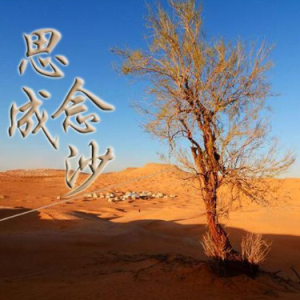 思念成沙钢琴简谱 数字双手
