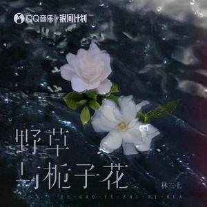 野草与栀子花钢琴简谱 数字双手