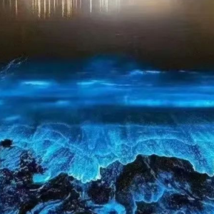 蓝眼泪钢琴简谱 数字双手