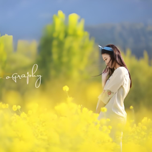 远方的花钢琴简谱 数字双手