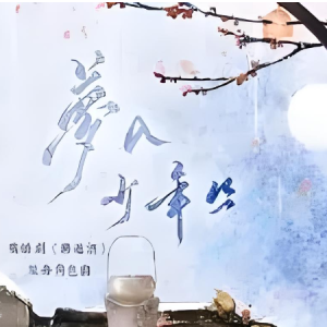 梦入少年从钢琴简谱 数字双手
