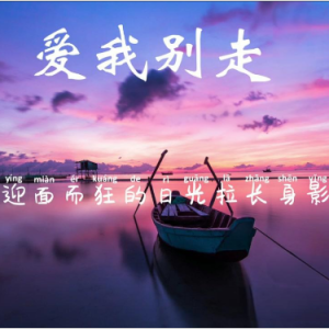 爱我别走钢琴简谱 数字双手