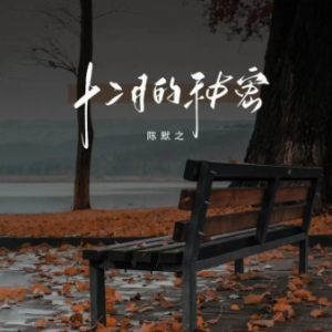 《十二月的秘密》钢琴极致还原版-钢琴谱