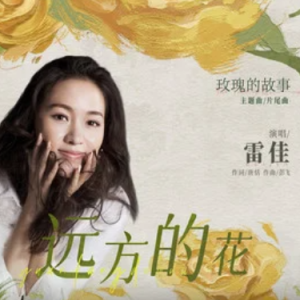 远方的花 (《玫瑰的故事》电视剧主题曲/片尾曲)  C调