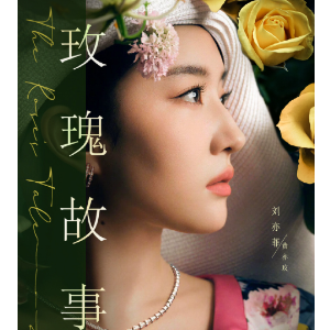 远方的花-电视剧<玫瑰的故事>主题曲