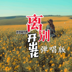 离别开出花弹唱版（带歌词完整版）-钢琴谱